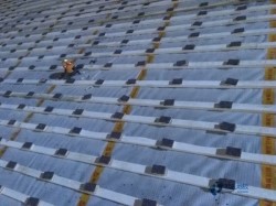 松木運動館木地板廠家報價