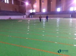 體育地板要多少錢