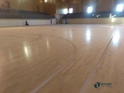 主輔龍骨運動地板廠家報價