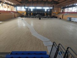 主輔龍骨籃球館地板廠家報價