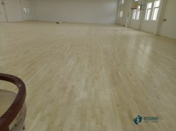 懸浮式籃球館木地板施工團隊