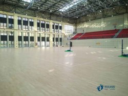 專業體育運動木地板施工隊