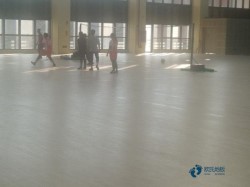 松木運動場木地板廠家報價