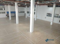 專用運動木地板廠家報價