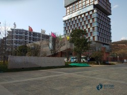 專業籃球木地板施工