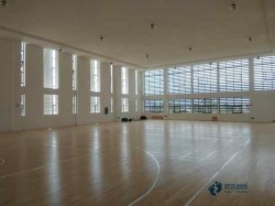 雙層龍骨體育木地板維護保養