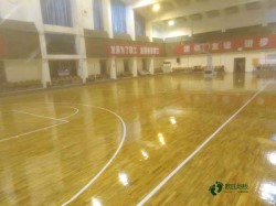 專業運動型地板施工