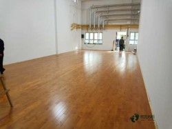 體育運動木地板大概多少錢