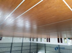 那里有籃球運動地板較好的