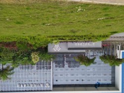 實木籃球場地板保養