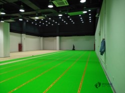 體育運動木地板維修