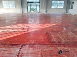 那里有籃球場地板品牌排行榜