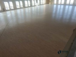 普通運動館木地板安裝公司