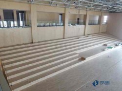 那里有運動場地木地板品牌有哪些