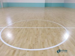 那里有體育木地板品牌大全