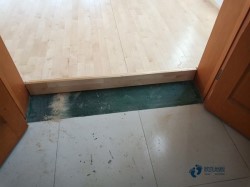 柞木體育場地木地板保養方法