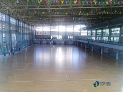 那里有體育場館地板較好的品牌