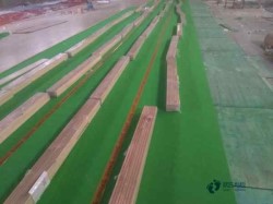 懸浮式運動場地板施工