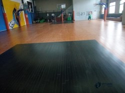 運動場地地板要多少錢