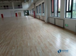 哪里有運動場木地板品牌排行