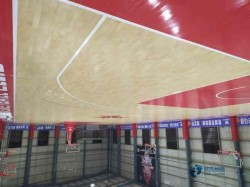 那里有運動館地板品牌有哪些