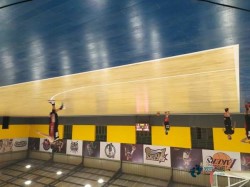 運動場地板大概多少錢