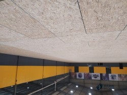 柞木體育館木地板保養