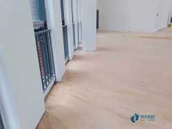 雙龍骨籃球木地板安裝公司