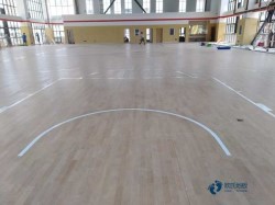 懸浮運動場地地板施工團隊