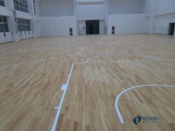 尋求體育場木地板安裝公司