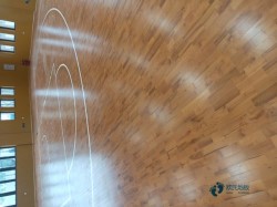 運動場館地板多少錢能下來