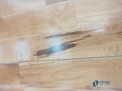 柞木運動館木地板如何保養