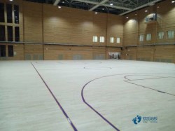 懸浮運動籃球地板廠家報價