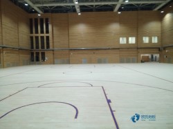 雙層龍骨運動館地板廠家報價