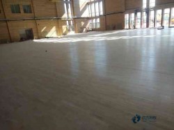 籃球館地板大約多少錢