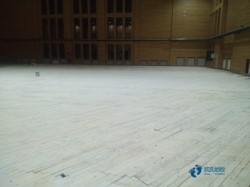 雙龍骨體育籃球地板廠家報價