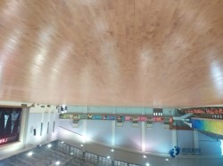 哪里有體育木地板品牌有哪些