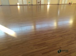 學校俄勒岡松舞臺體育場館地板施工方案