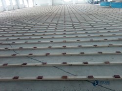 懸浮式體育館木地板施工