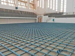 那里有體育地板十大品牌