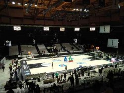 柞木體育木地板環保嗎