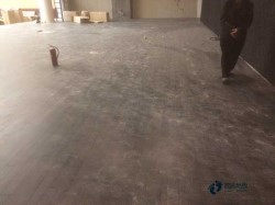 哪里有運動型地板品牌