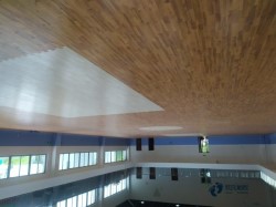 雙層龍骨籃球木地板廠家報價