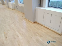 專業籃球運動地板施工單位