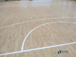 羽毛球木地板維護