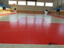 那里有體育場館木地板安裝公司
