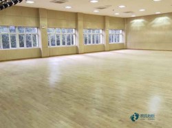 那里有運動場地板品牌哪個好